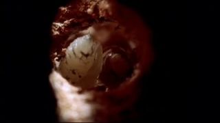 Prechádzky s dinosaurami 3 - Kruté more