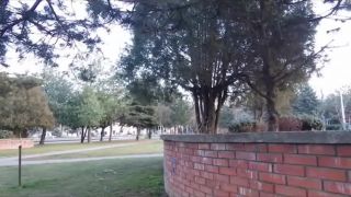 Trening Parkour