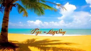 Fryci - Letny Song