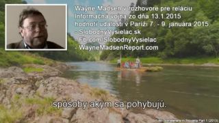 Teror v Paríži - Wayne Madsen
