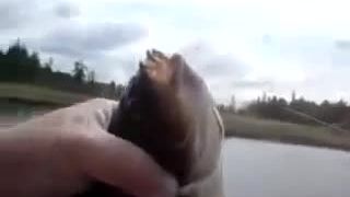 Keď Rus rybu chytil