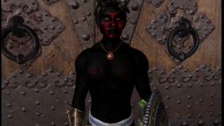 The Elder Scrolls IV - Oblivion 2