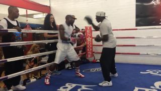 Floyd Mayweather - lapuje