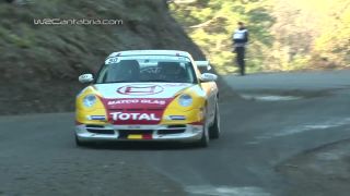Top rok 2014 WRC