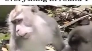 Keď si jej sľúbil 2 kolo