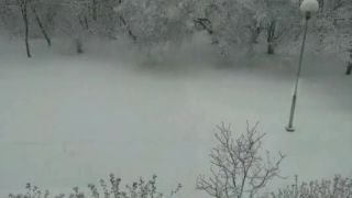 Aj stromy sa skláňajú pod snehom
