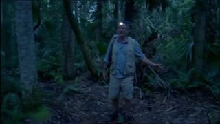 Prehistorický park 5 - Hmyzí domov