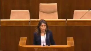 Helena Mezenská hovorí v parlamente