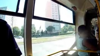 Rosalto vodič autobusu