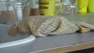 Čože je to za motýľa v tej kukle?