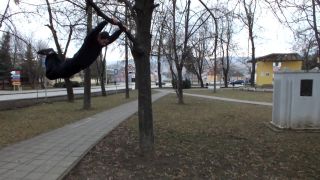 Salto z konara