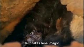 Medojedovi je to u pr*ele