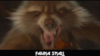 Guardians of the Galaxy - Friends