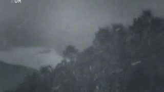 Zvierací armagedon 7 - Oheň a ľad