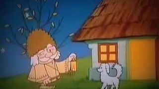 Macko uško znelka
