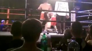 Box fight