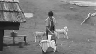 Ako si vážime Bačov z hôr (1957)