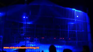 Fénix na návštěvě v cirkuse King ( 2015)