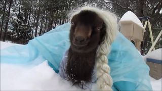 Krásna blondína v snehu
