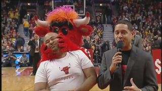 Benny - rohatý maskot Chicago Bulls