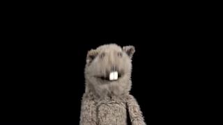 Vertical Video Syndrome