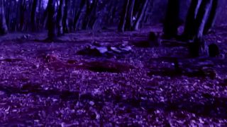 Lesomania