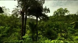 S kuchárom kolem sveta - Srí - Lanka