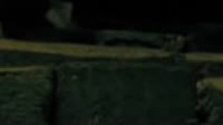 PINSCHER __ STÁLE TEN ISTÝ