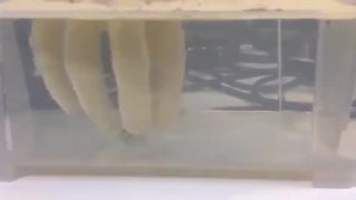 Suché prsty vo vode (experiment)