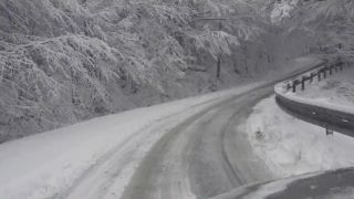 31.03.2015 kalamita