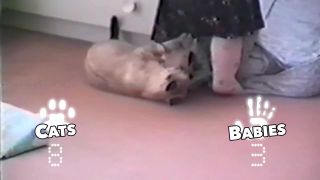 Mačky VS deti