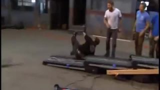Jackass3.5 Best momenty