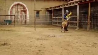 Jackass3D Provokovanie barana