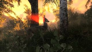 The Hunter