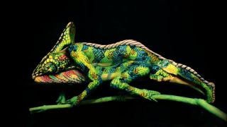 Chameleón body painting