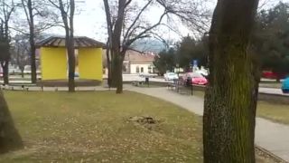 Salto o strom