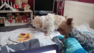 Caspy a jedlo