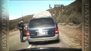 Policajt vs Superkrava [EN]