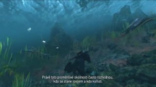 Zaklínač:Divoký Hon CZ Trailer