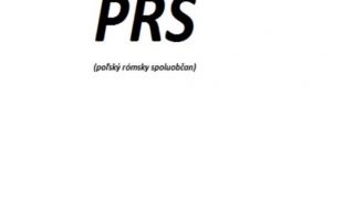 Polsky romsky spoluobcan [PRS] (the ultimate beats aka de - ligh