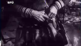 Týždeň vo filme 15