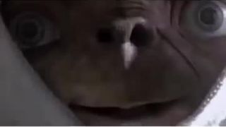 Allahu Akbar Compilation