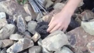 Idiot a vretenica (Rusko)