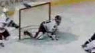 Brankári NHL