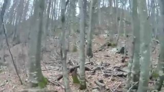 Lov na medveďa