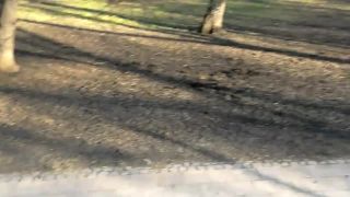 Rc auto + park + pes (zvycajne psy)