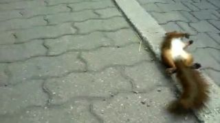 NEJAZDITE RÝCHLO