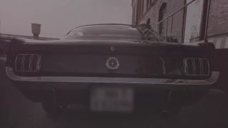 Genetikk - D.N.A.