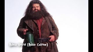 Harry Potter vtedy a teraz