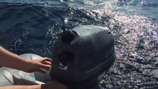 Yamaha F5 + Allroundmarin AS-Samba 330 na mori